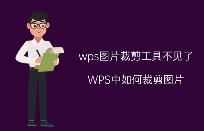 wps图片裁剪工具不见了 WPS中如何裁剪图片？